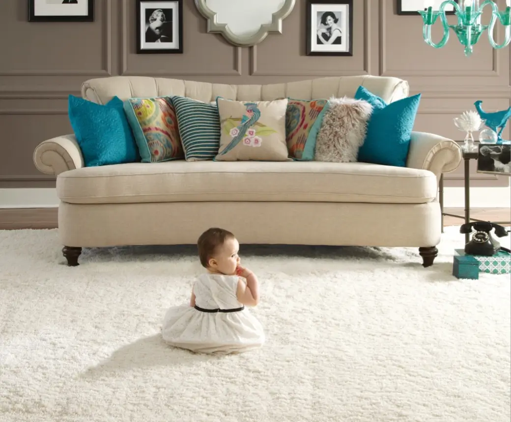 Carpet-Image Soft Carpet | Distinctive Flooring