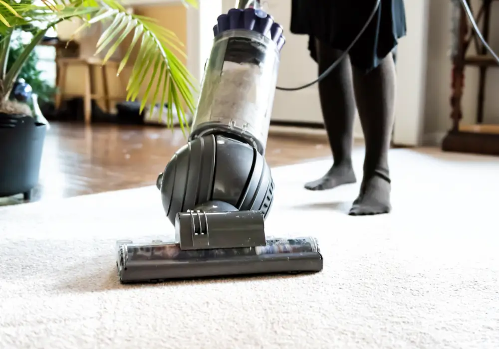 CarpetCare-Img Carpet Care | Distinctive Flooring